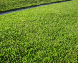 Econeering provides several services in regards to site usage including landscape design and organic lawn care concepts. 